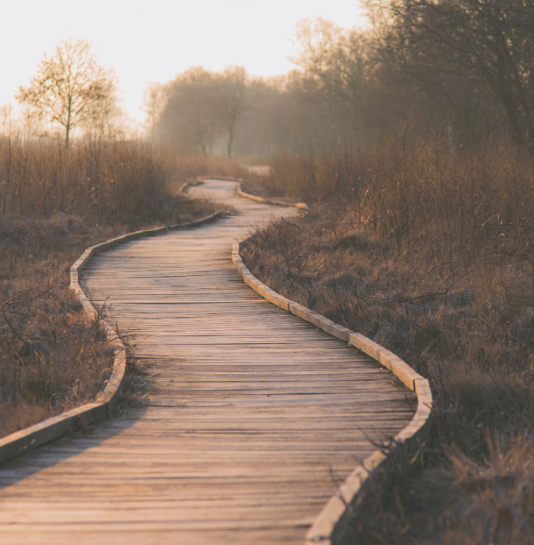 Permission to Trust Yourself