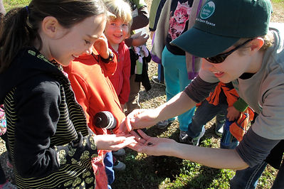 Lower Elementary children working with an adult to make a discovery outside