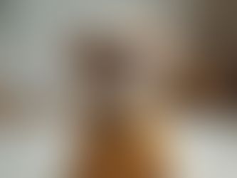 Discover Your Pup's Style: Minimalist Muse or Rockstar Ruff Quiz and Outfit Ideas