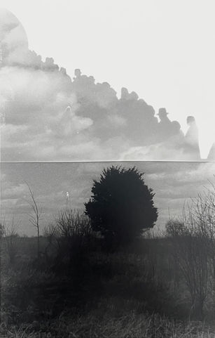 Film photo of a tree, with the top border shaped like people’s silhouettes