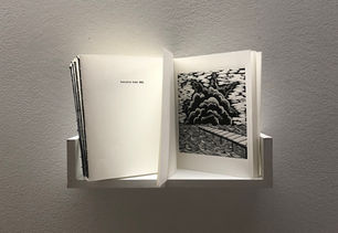 Executive 9066 booklet displayed on a shelf