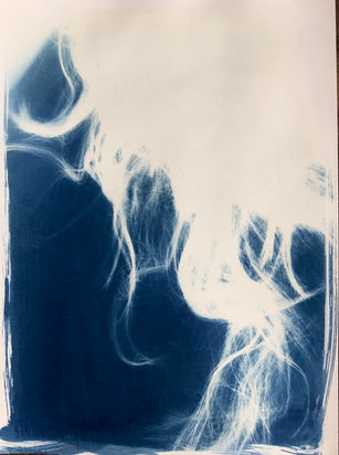 Cyanotype print of hair