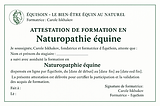 Formation en naturopathie équine en ligne – ÉquiSoin