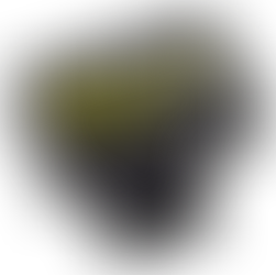 AR Assistant Testberichte (Berichterstattung folgt)