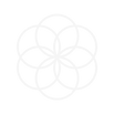 Visie_Seed of life copy.png
