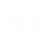 Snowflake White.png