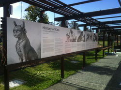 History of Cats print