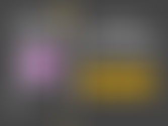 Leilões Extrajudiciais: Entendendo melhor como funcionam.