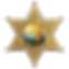 Probation Badge_2024_10x10 - FINAL.png