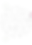 FundoPapelTimbrado.png