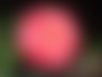 Creator & our divine family