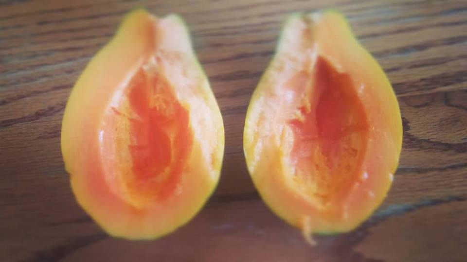 31301536_1912059488824678_25214384420594