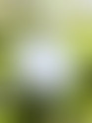 Skin, our body's precious boundary