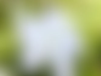 Skin, our body's precious boundary