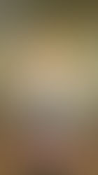 To wonder and to love