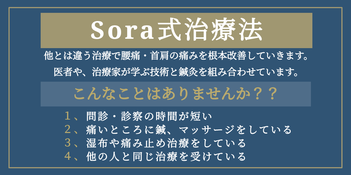 sora式治療法