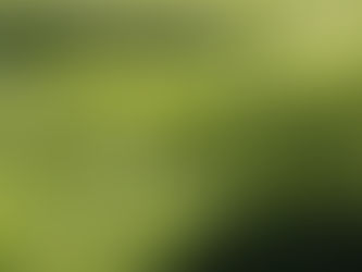 Getting Started- Start Here