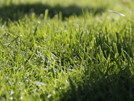 Getting Started- Start Here