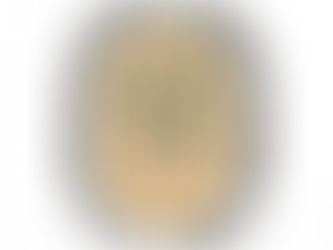 Inaugural CVSN Newsletter