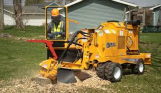 Lynchburg, VA Stump Grinding