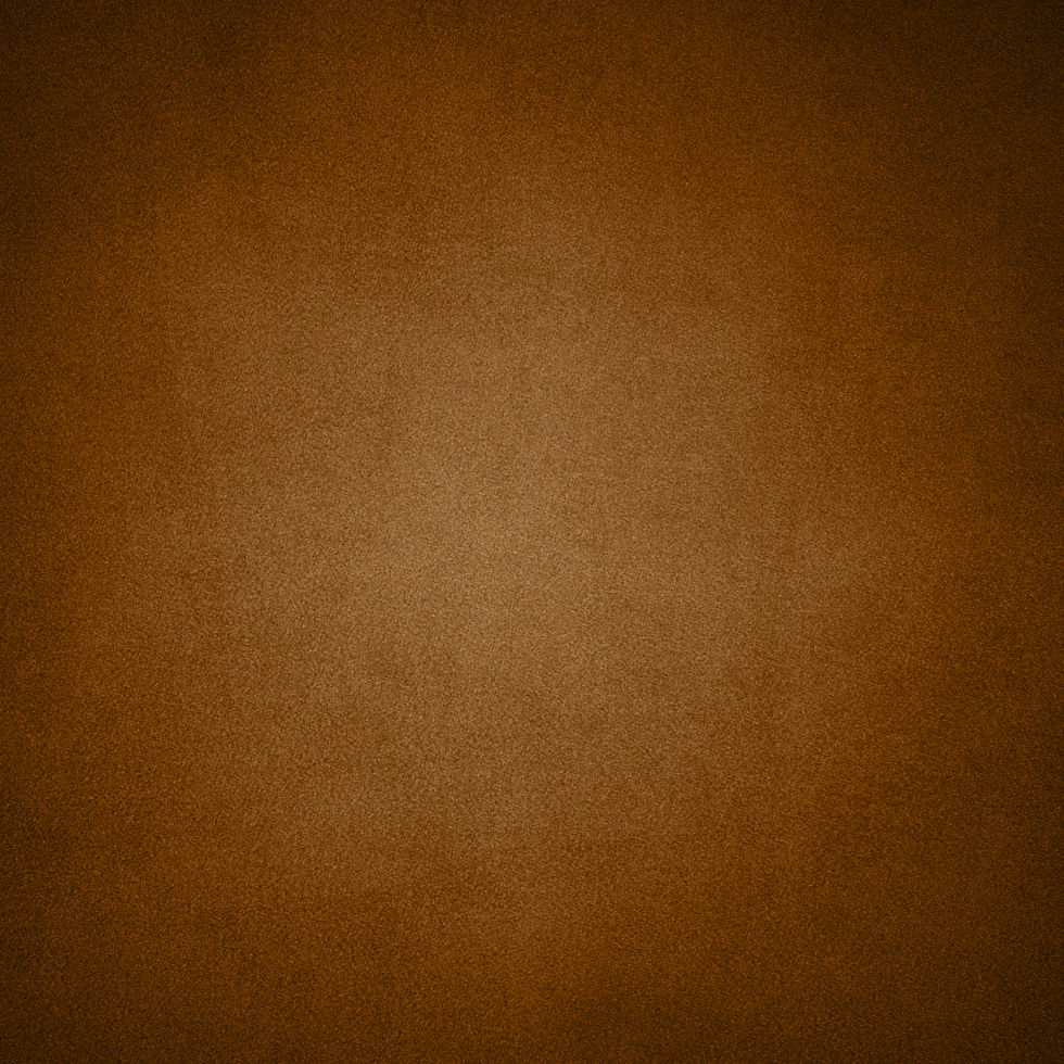Fondo marron 2.jpg
