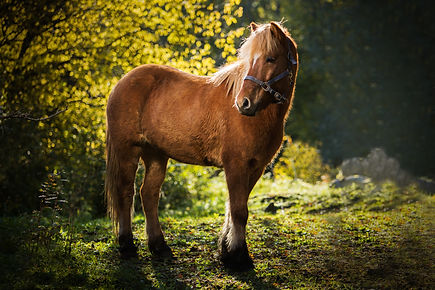 Minttu & Maskot-1015.jpg