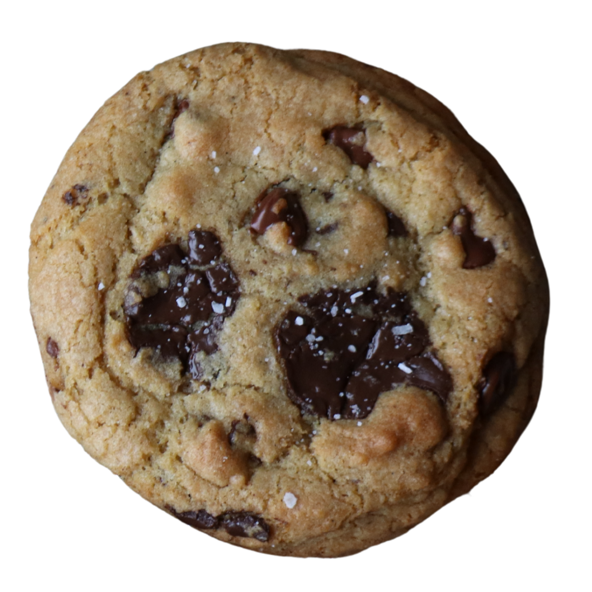 chocolate chip cookie