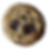 Classic Choco-Chip Cookie