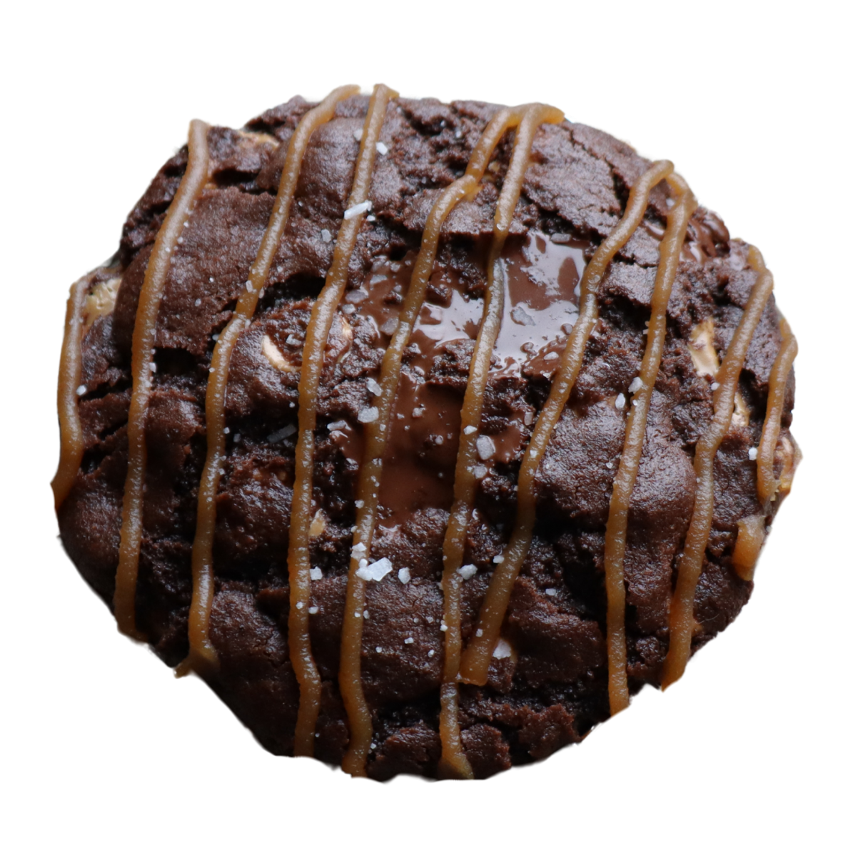 chocolate peanut butter cookie
