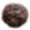 chocolate peanut butter cookie