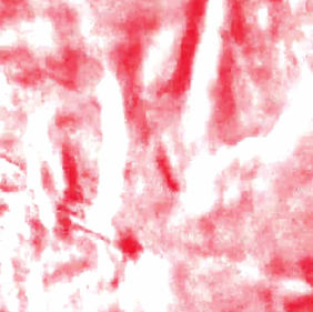 Minuto Con: Colores Primarios