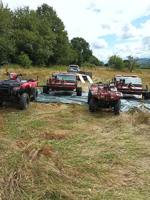 meadow harvesting.jpg
