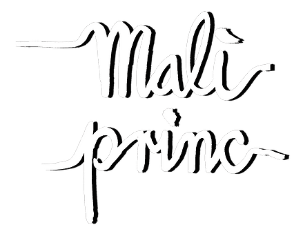 ZB_01Malo Princ_v1_napis.png