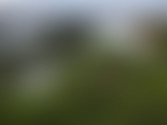 Evaluating the potential for spread of Japanese encephalitis vaccine in Australia in 2023