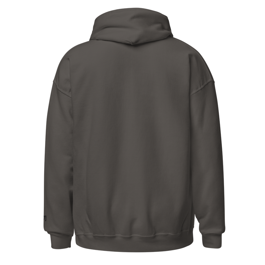 Back of the Funny Viral Hoodie, showcasing a classic fit and smooth, cozy fabric.