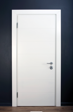 High Security Door