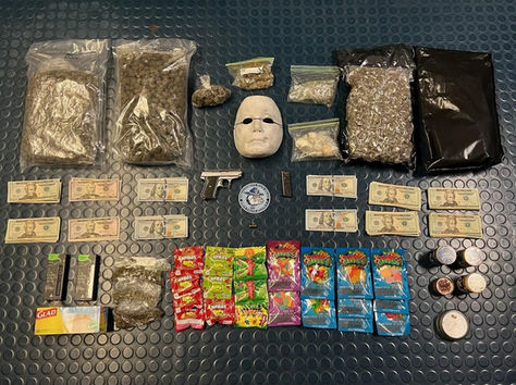 Troopers Arrest Man with Stolen Gun, Narcotics