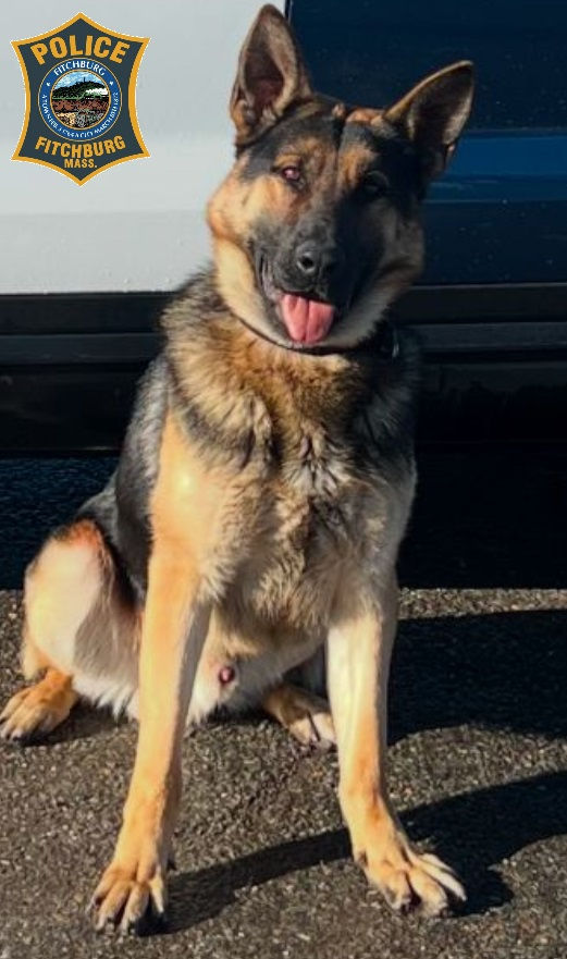 K-9 Atlas