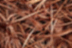 pexels-alex-tepetidis-3531434-5279317.jpg
