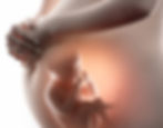 Ginecologia e ObstetrÃcia
