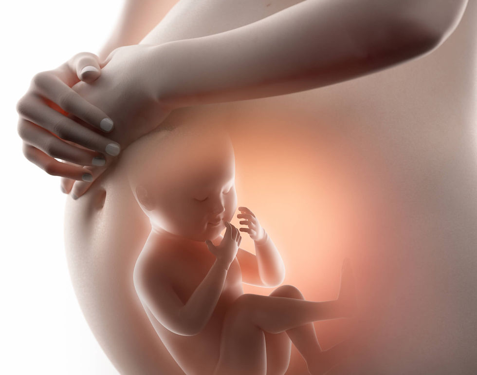 Ginecologia e Obstetrícia