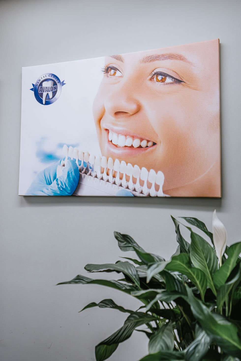 Veneers or Teeth Whitening? A Cambridge Dentist Explains the Difference