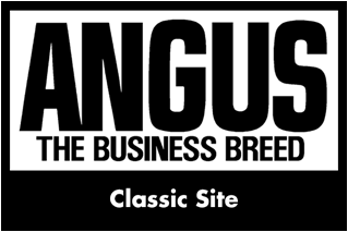 Angus logo