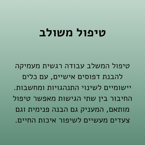 טיפול משולב - הסבר