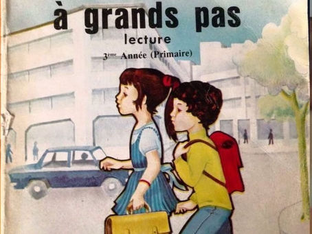 Téléchargez le livre de lecture "A grands pas - 3ème"