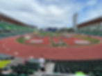 IMG_9591.jpeg