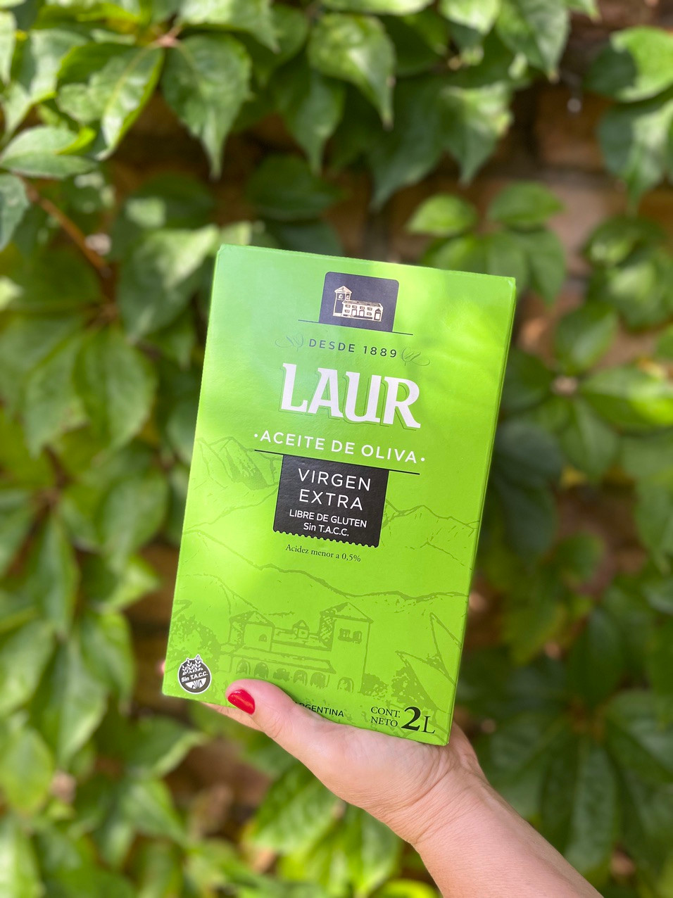 laur bag in box
