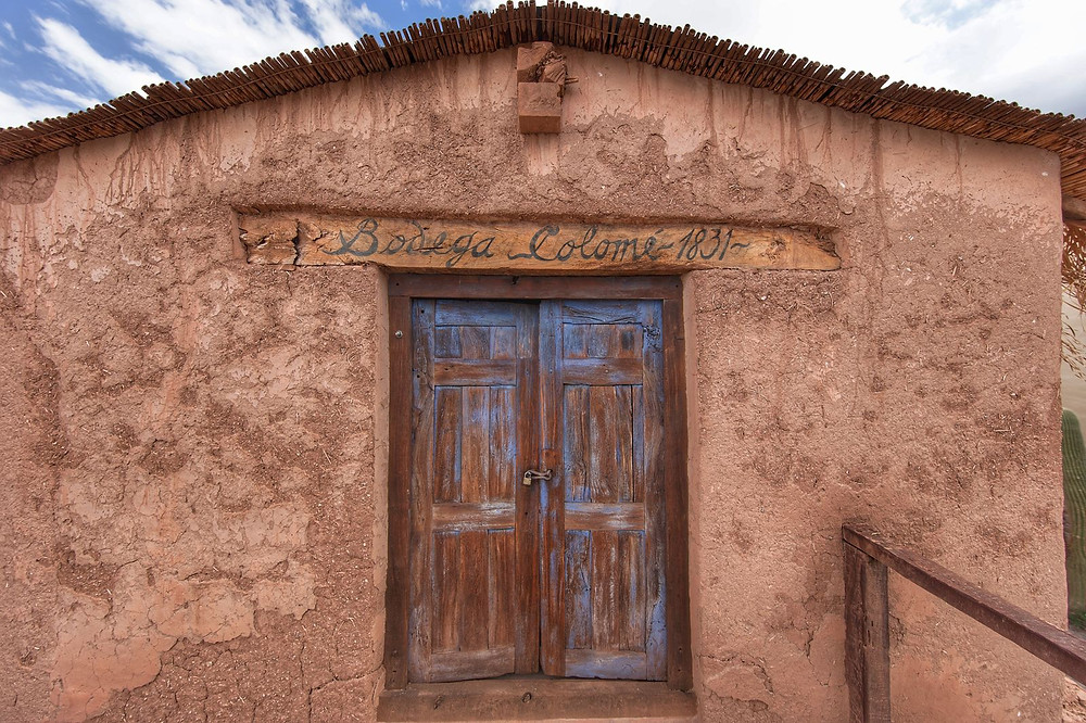 bodega colomé
