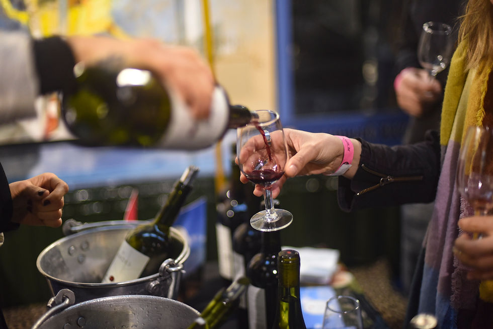 feria de vinos organicos y sustentables