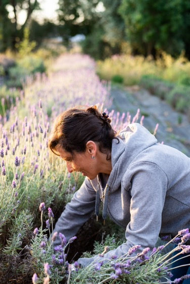 Sleep & Stress Workshop 